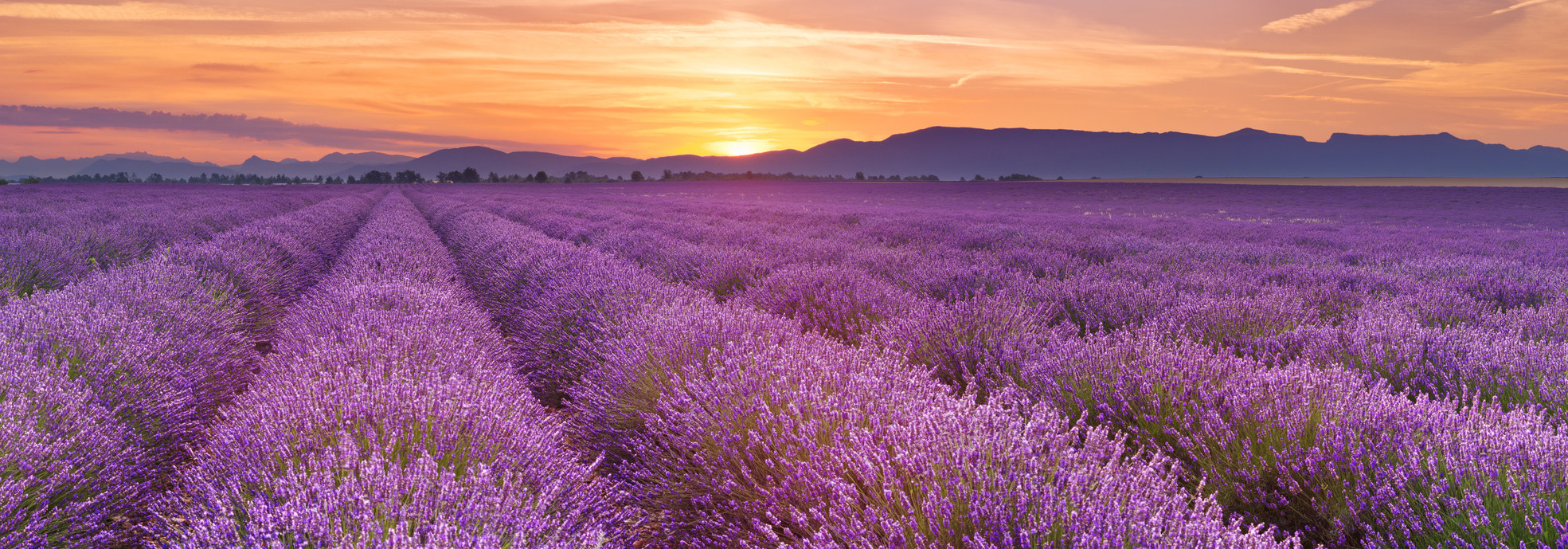 Imparare il francese in Provenza
