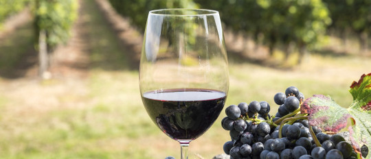 Saper vivere alla francese: parlare francese davanti a un bicchiere di vino!