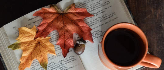 Letteratura e apprendimento del francese
