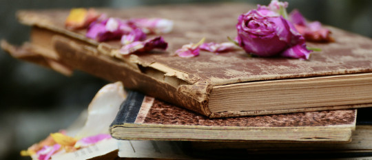 Imparare il francese con i libri