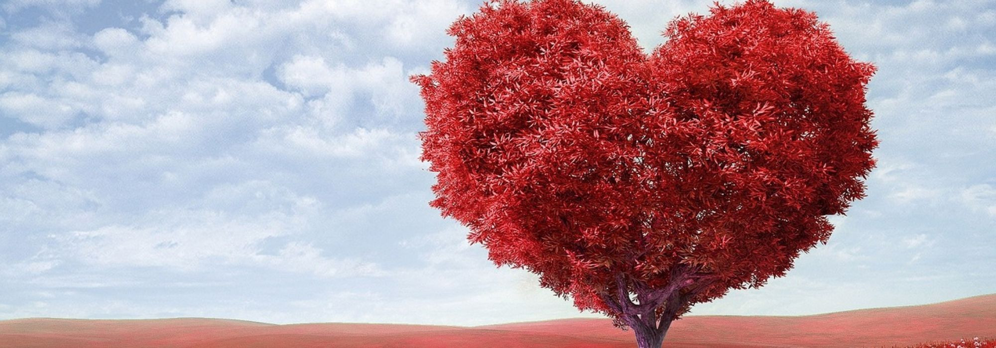Frasi in francese sull’amore e sulla vita