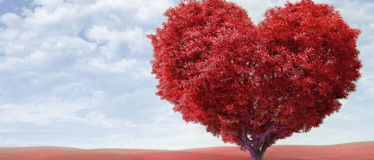 Frasi in francese sull’amore e sulla vita