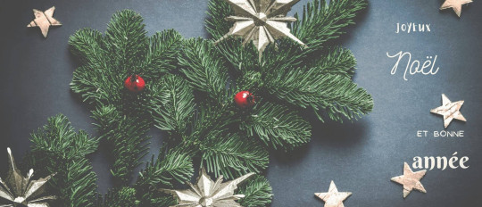 Vocabolario e tradizioni delle festività di fine anno