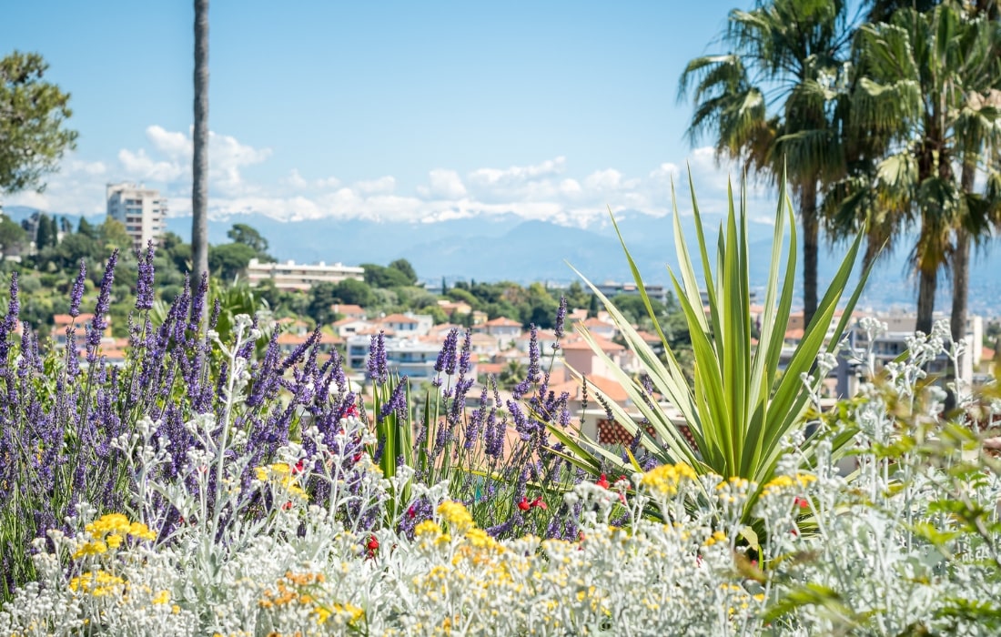Flowers school le chateau